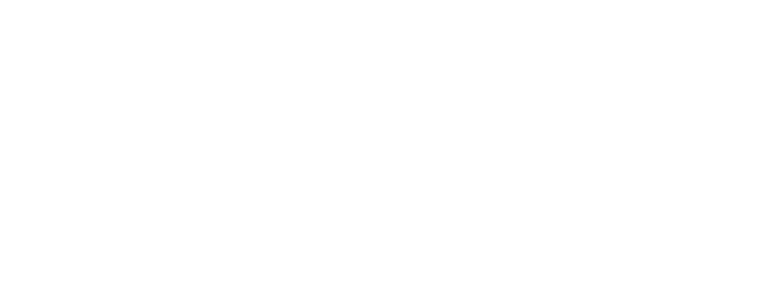 Logo OPZ Play